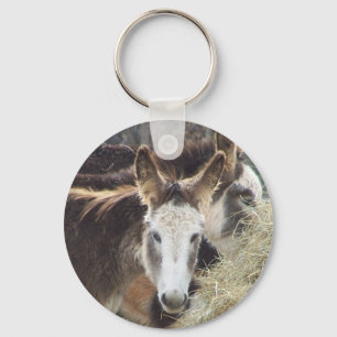 Donkey Nyckelring