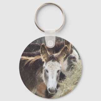 Donkey Nyckelring