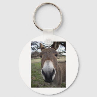 DONKEY NYCKELRING