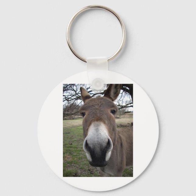 DONKEY NYCKELRING (Framsida)