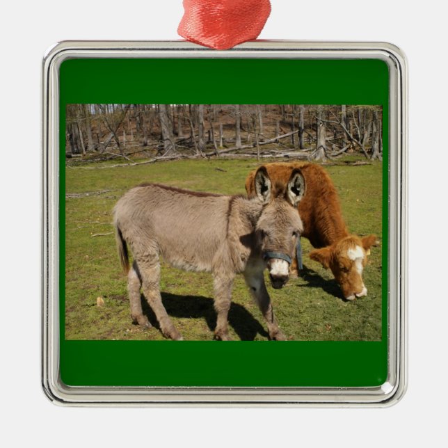 Donkey och Cow Ornament (Framsidan)