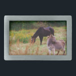 Donkey och häst i Fall Fält.<br><div class="desc">Donkey och häst i Fall Fält. Foto av Sandy Closs. Donkey Autumn, fall, farm " boskap"donkey, burro, "Söt donkey", mula, jackas</div>