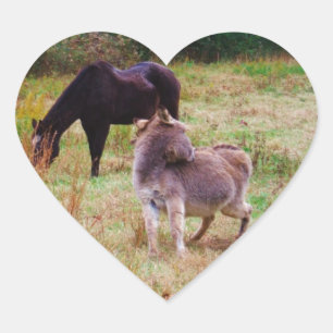Donkey och häst i Fall Fält. Hjärtformat Klistermärke