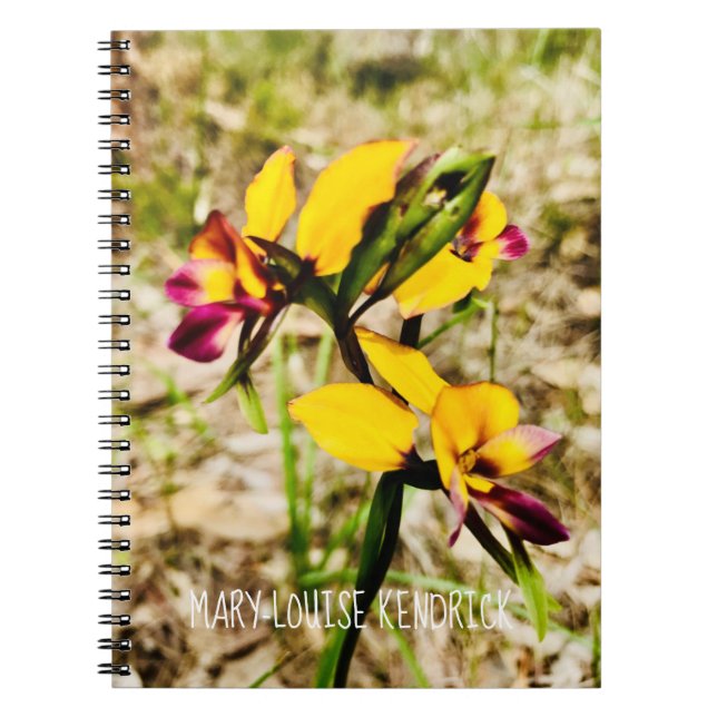 Donkey Orchids Anteckningsbok (Framsidan)