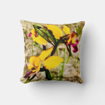 Donkey Orchids
