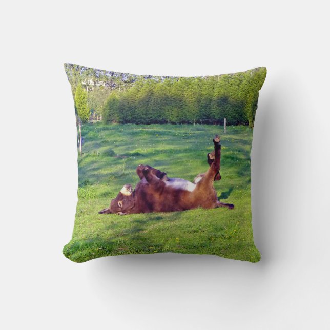 donkey på baksidan kudde (Framsida)