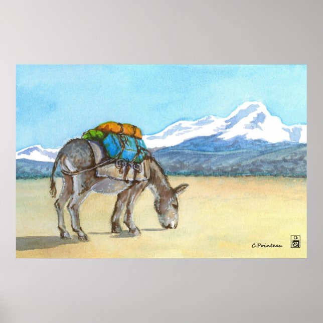 Donkey på High Plateau, Sydamerika Poster (Framsidan)