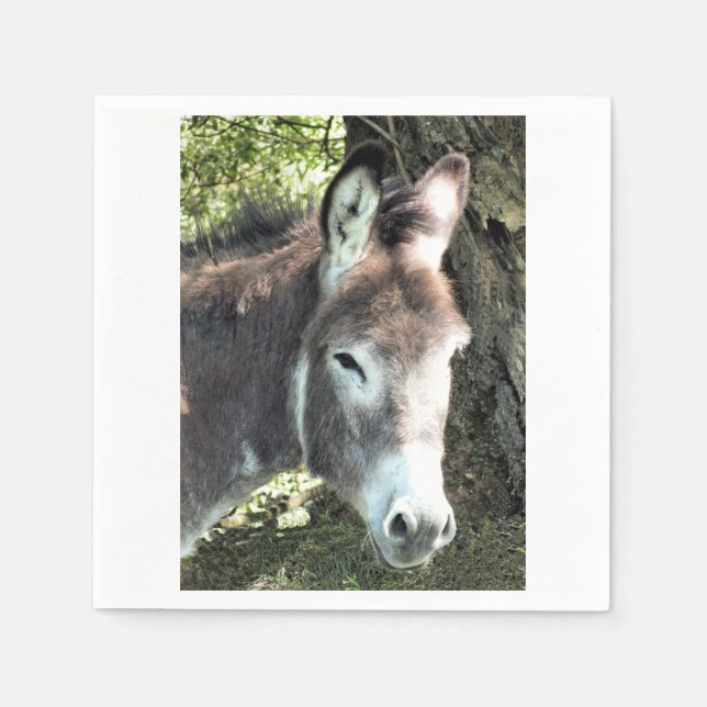 DONKEY PAPPERSSERVETT (Framsidan)