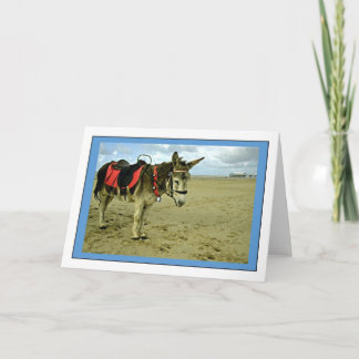 Donkey Photo Hälsning Card Kort