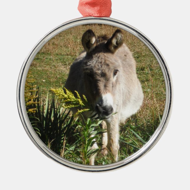 Donkey Picking Gult Autumn Wildblommor Julgransprydnad Metall (Framsidan)