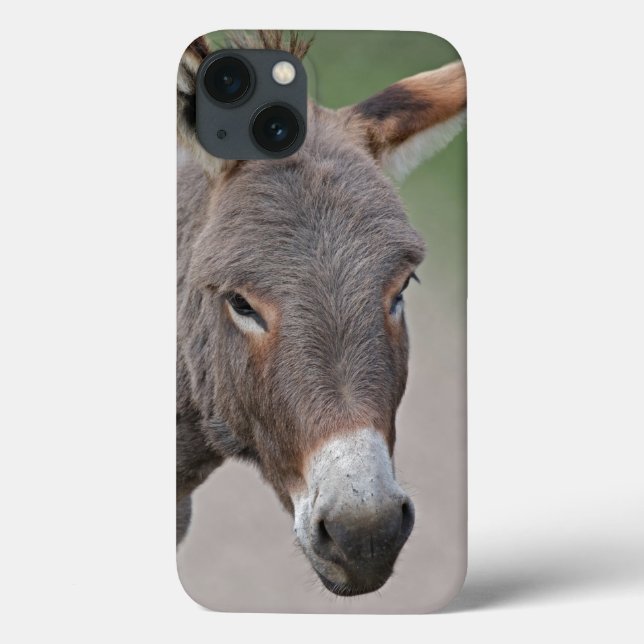 Donkey Porträtt iPad Case (Baksida)