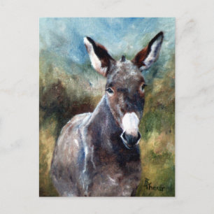 Donkey Porträtt vykort