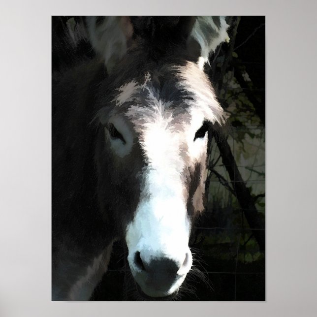 DONKEY POSTER (Framsidan)