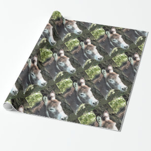 DONKEY PRESENTPAPPER