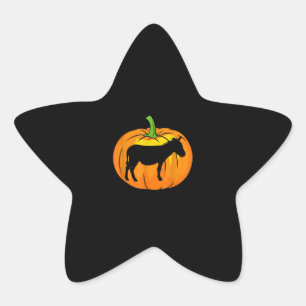 Donkey Pumpkin   Funny Donkey Halloween-artikel Stjärnformat Klistermärke