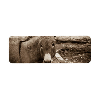 Donkey Returadress Etikett