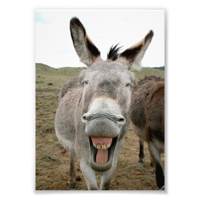 Donkey Smile Fototryck (Framsidan)
