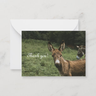 Donkey - tackkort anteckningskort