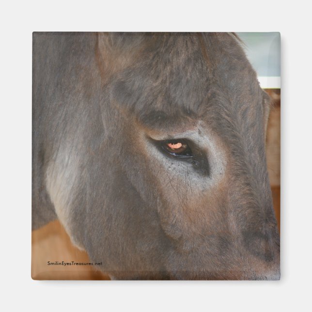 Donkey Thoughts Farm Animal Nature Magnet (Framsidan)