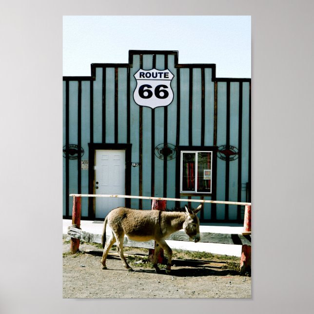 Donkey Town Oatman Arizona Poster (Framsidan)