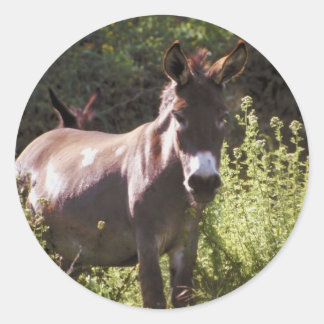 Donkey vid Pasture Runt Klistermärke