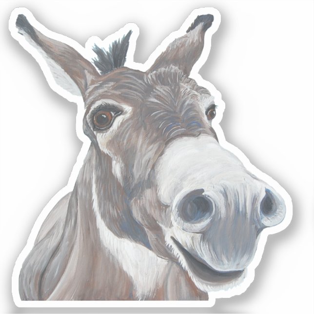 Donkey Vinyl Sticker Klistermärken (Framsida)