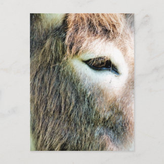 DONKEY VYKORT