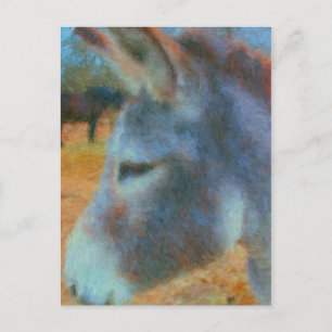 donkey vykort