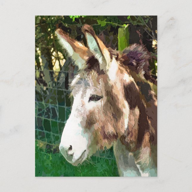 DONKEY VYKORT (Framsida)