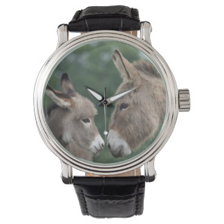 Donkey watch armbandsur