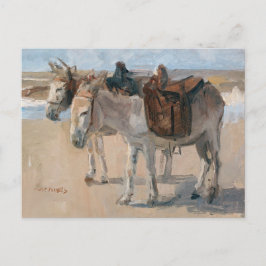 Donkeys at the Beach Postcard Helg Vykort