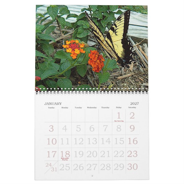Donna’s Garden 2007 Kalender (Jan 2027)
