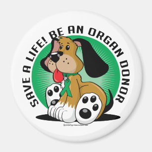 Donor hund för organ magnet