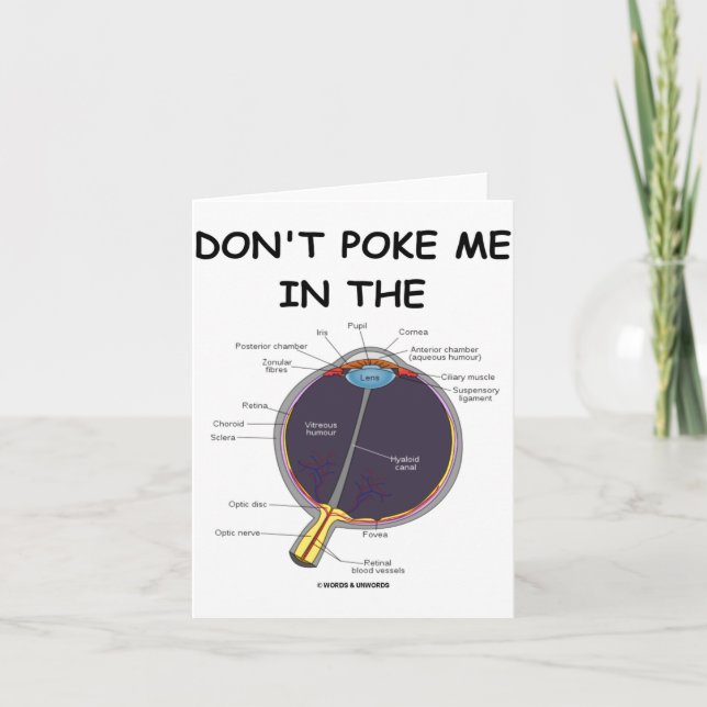 Dont Ke Me In The Eye Eye Anatomy Attitude  Kort (Framsida)