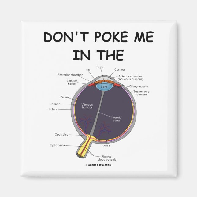 Dont Ke Me In The Eye Eye Anatomy Attitude  Magnet (Framsidan)