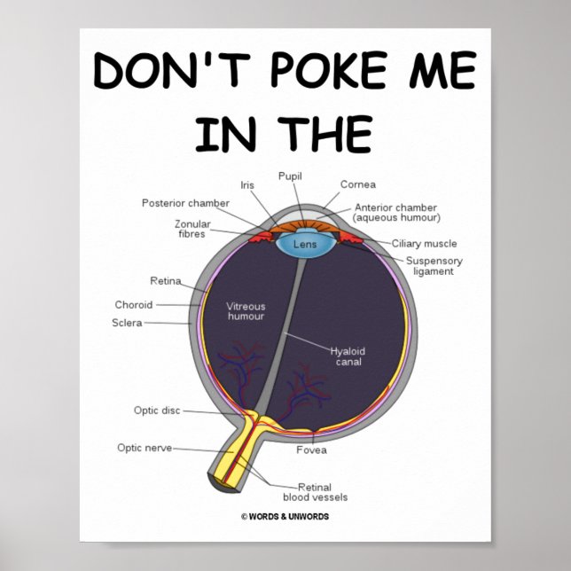 Dont Ke Me In The Eye Eye Anatomy Attitude  Poster (Framsidan)