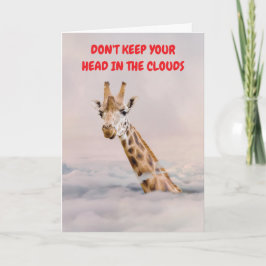 DON'T KEEP YOUR HEAD IN THE CLOUDS. KORT
