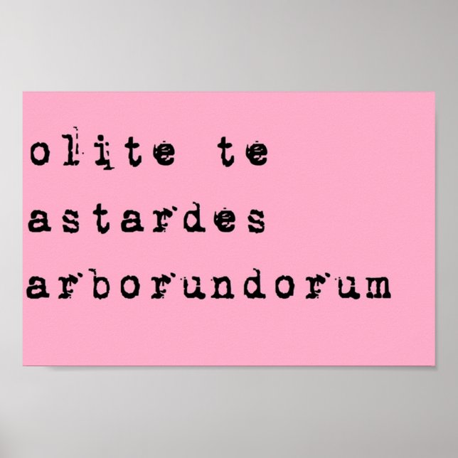 Dont let the bastards grind you down Latin  black  Poster (Framsidan)