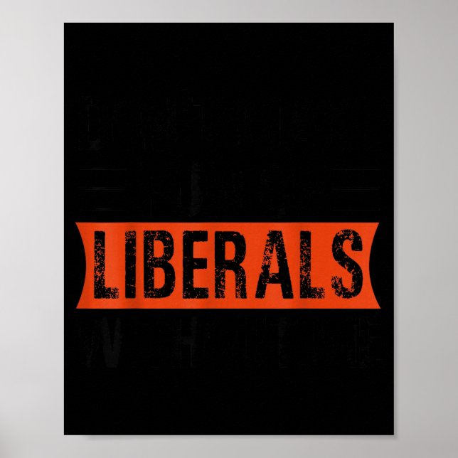 Don't Make Fun Of Liberals Without Me Funny Litica Poster (Framsidan)