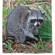 Don't Mind Me, Just Passing Through