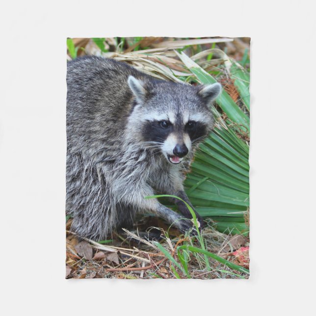 Don't Mind Me, Just Passing Through Fleecefilt (Framsidan)