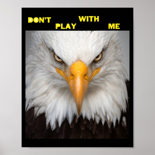 Dont Play With Angry Eagle  Poster (Framsidan)
