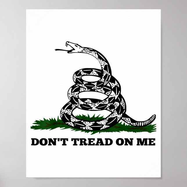 Don't Tread On Me 2nd Amendment Patriotic New Nove Poster (Framsidan)