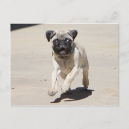 Doobie Runnin' Vykort