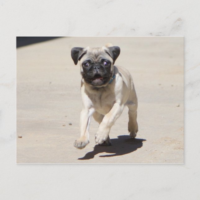 Doobie Runnin' Vykort (Framsida)