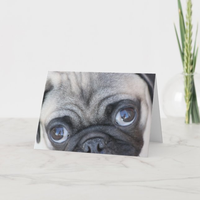 Doobies ögon kort (Framsida)