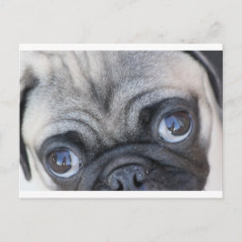 Doobie's Ögon Vykort