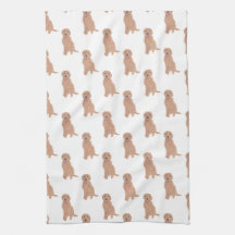 Doodle (Apricot Red Golden)