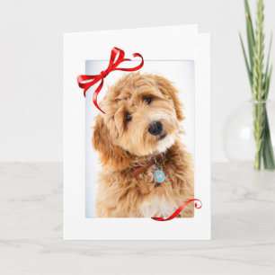 Doodle Dog Jul Kort