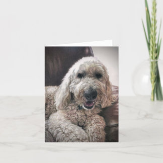 Doodle hund blank notecard tack kort